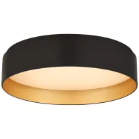 Потолочный светильник Shaw S4042BLK Потолочный светильник Shaw S4042BLK