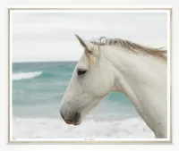 Художественный принт Horse on Beach TL530-G-1-612L Trowbridge Художественный принт Horse on Beach TL530-G-1-612L Trowbridge