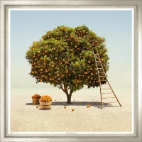 Художественный принт Orange County Summer TS1903-R-1-624L Trowbridge Художественный принт Orange County Summer TS1903-R-1-624L Trowbridge