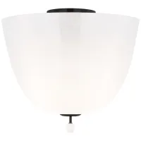 Потолочный светильник Brisa ARN4230BZ-WSG Потолочный светильник Brisa ARN4230BZ-WSG