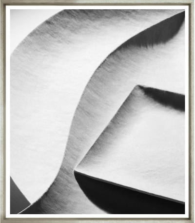 Художественный принт  Paper Shadows II TG-189-M-1-424 Trowbridge