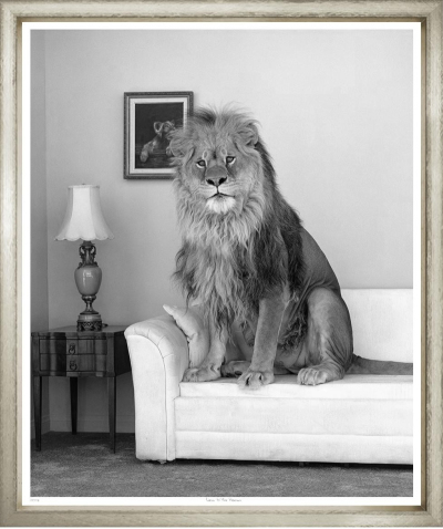 Художественный принт  Lion In The Room TG-2469-M-1-624 Trowbridge