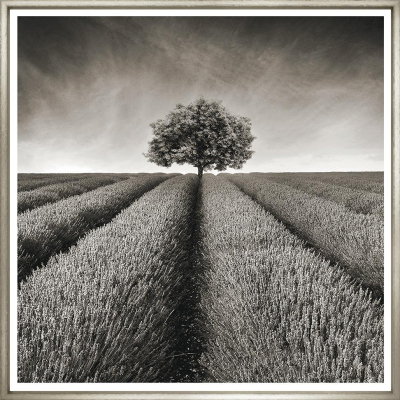 Художественный принт  Sepia Landscape Collection SLC-R-26-424 Trowbridge