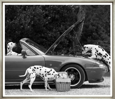 Художественный принт  Spot Of Car Trouble TG-3052-M-1-424 Trowbridge