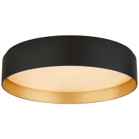 Потолочный светильник Shaw S4043BLK Потолочный светильник Shaw S4043BLK