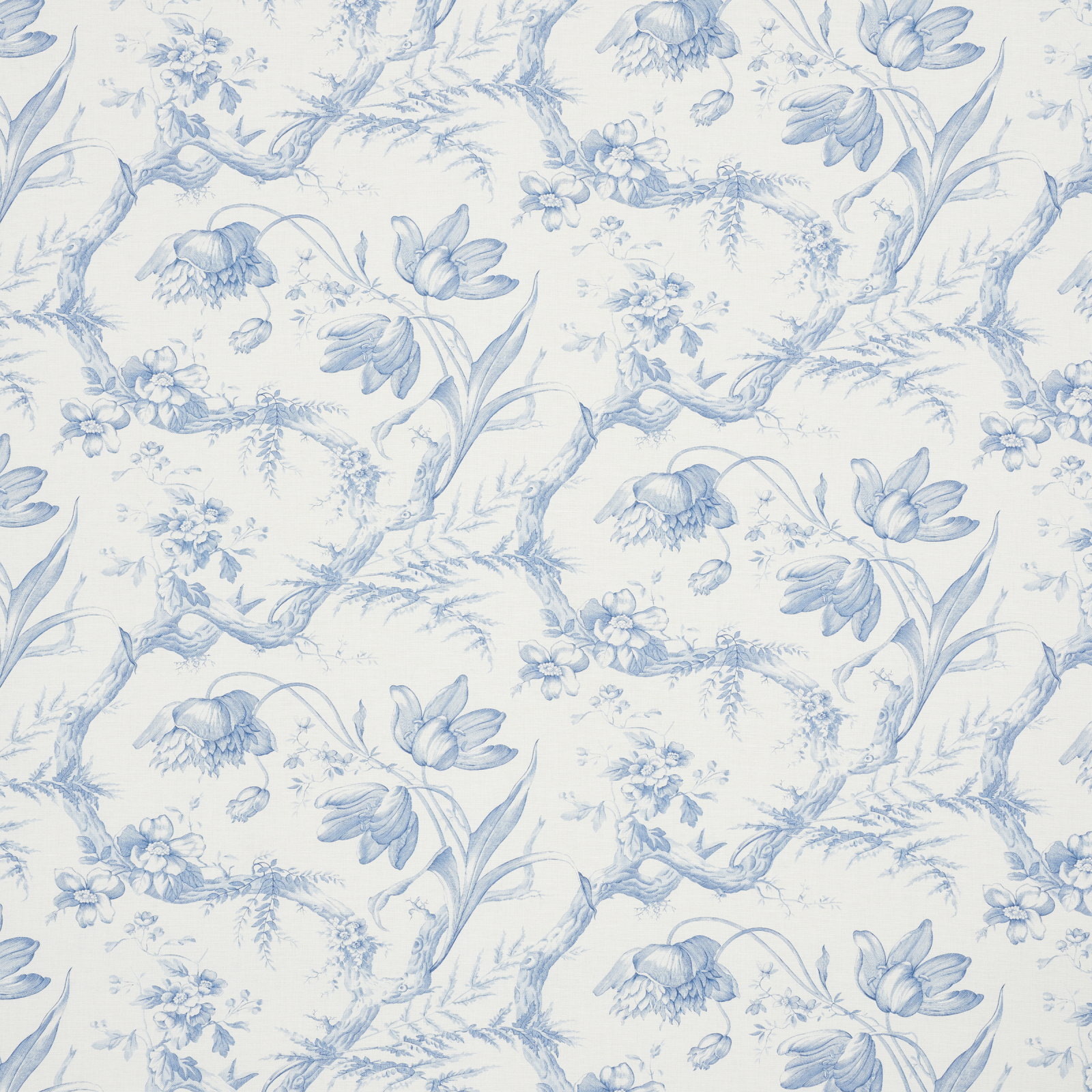 New introductions Tara Visual Comfort