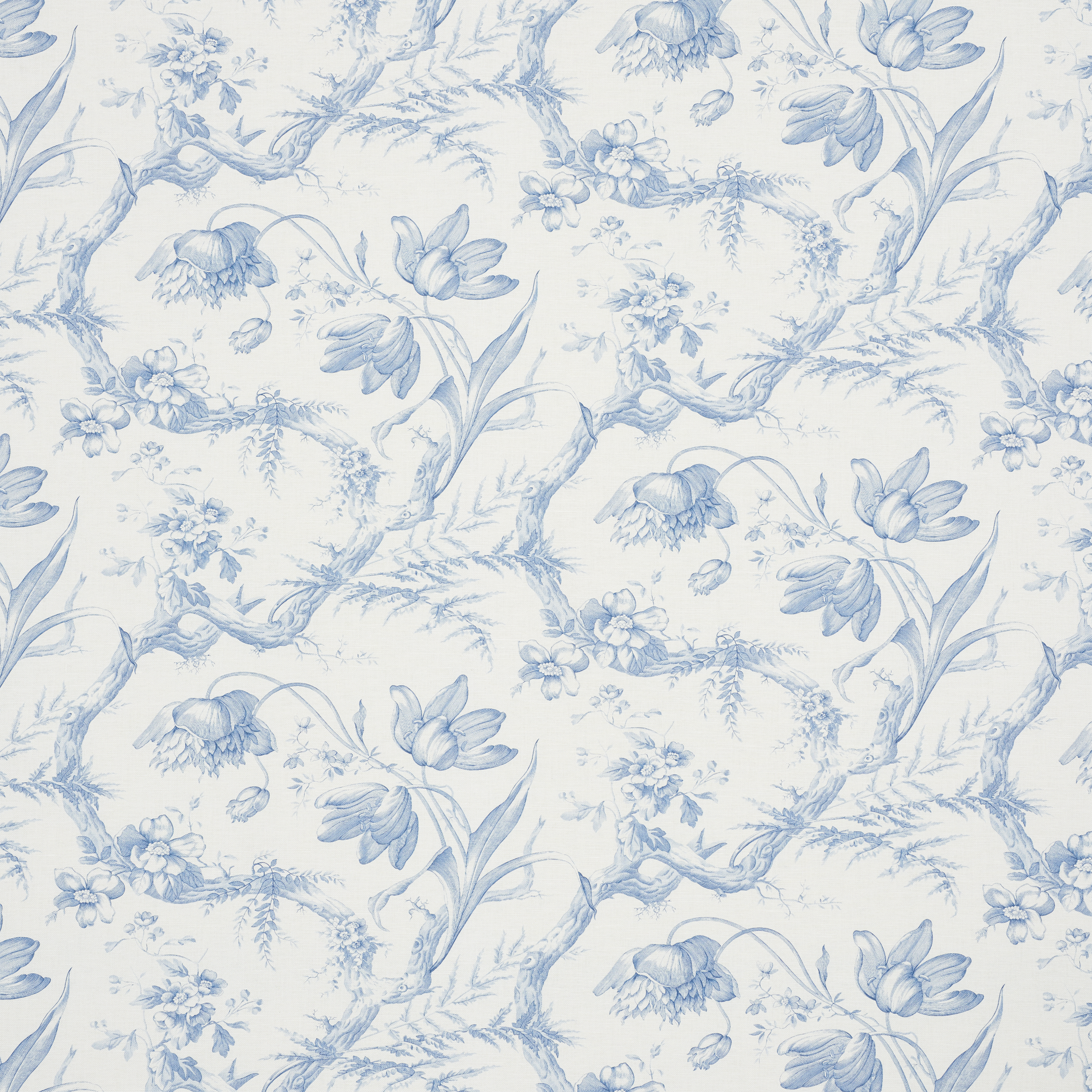 New introductions Tara Visual Comfort