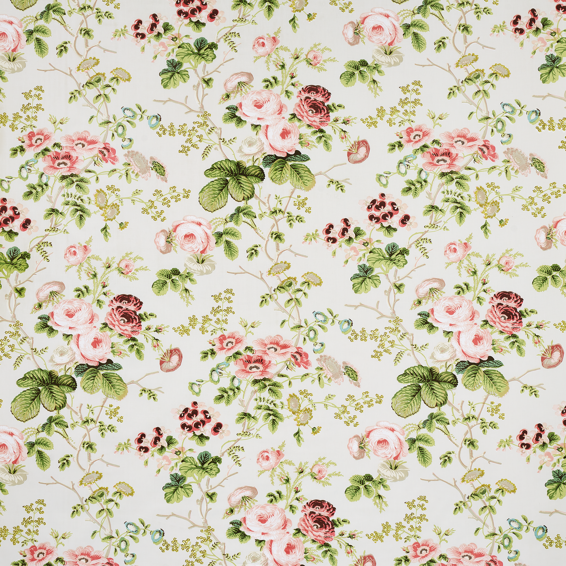 New introductions Tara Visual Comfort